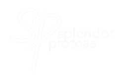 Splendor Proteas Logo
